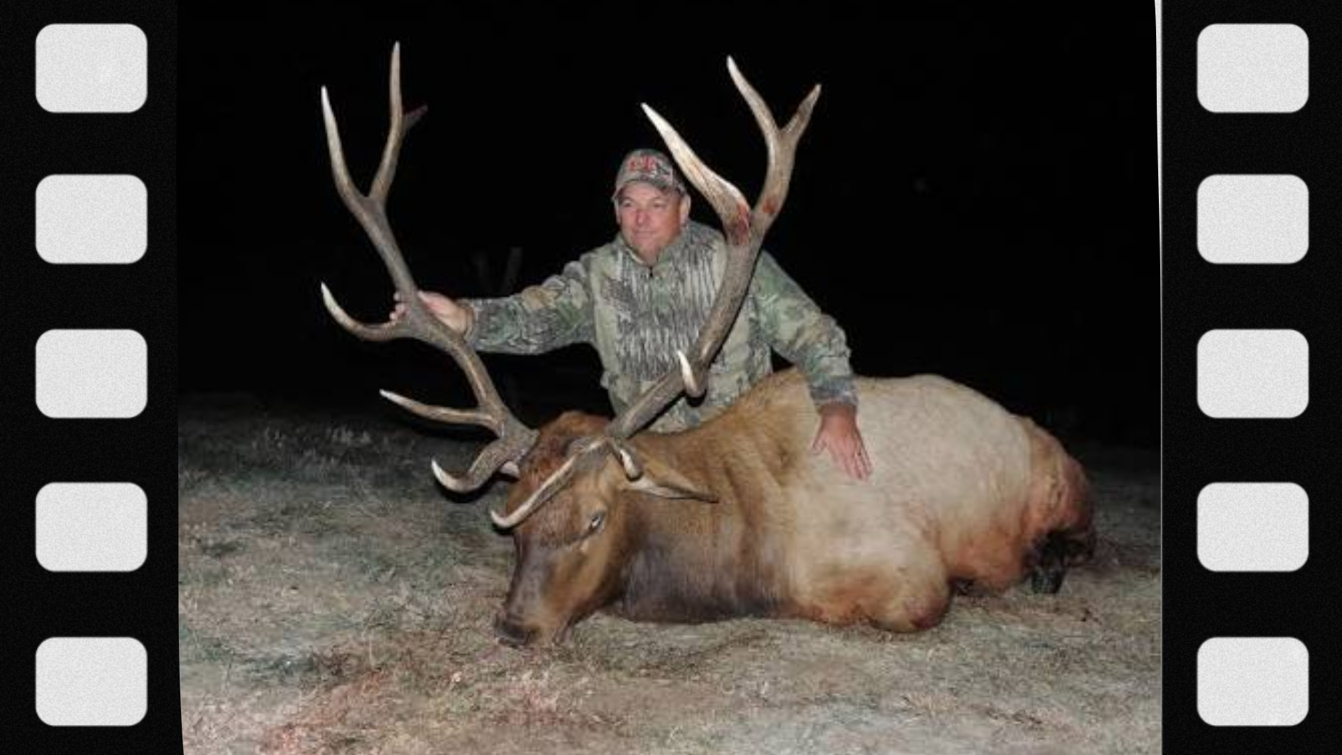 what-is-an-elk-tag