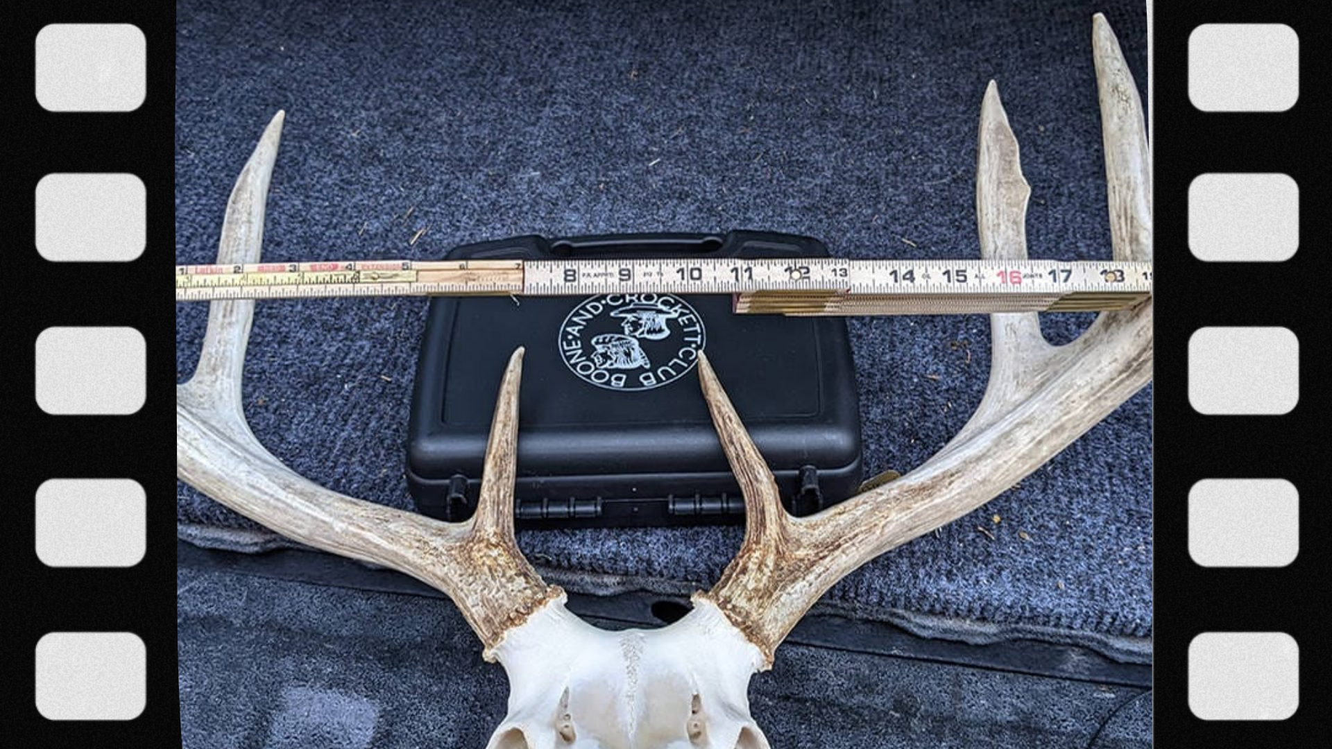 what-is-antler-score