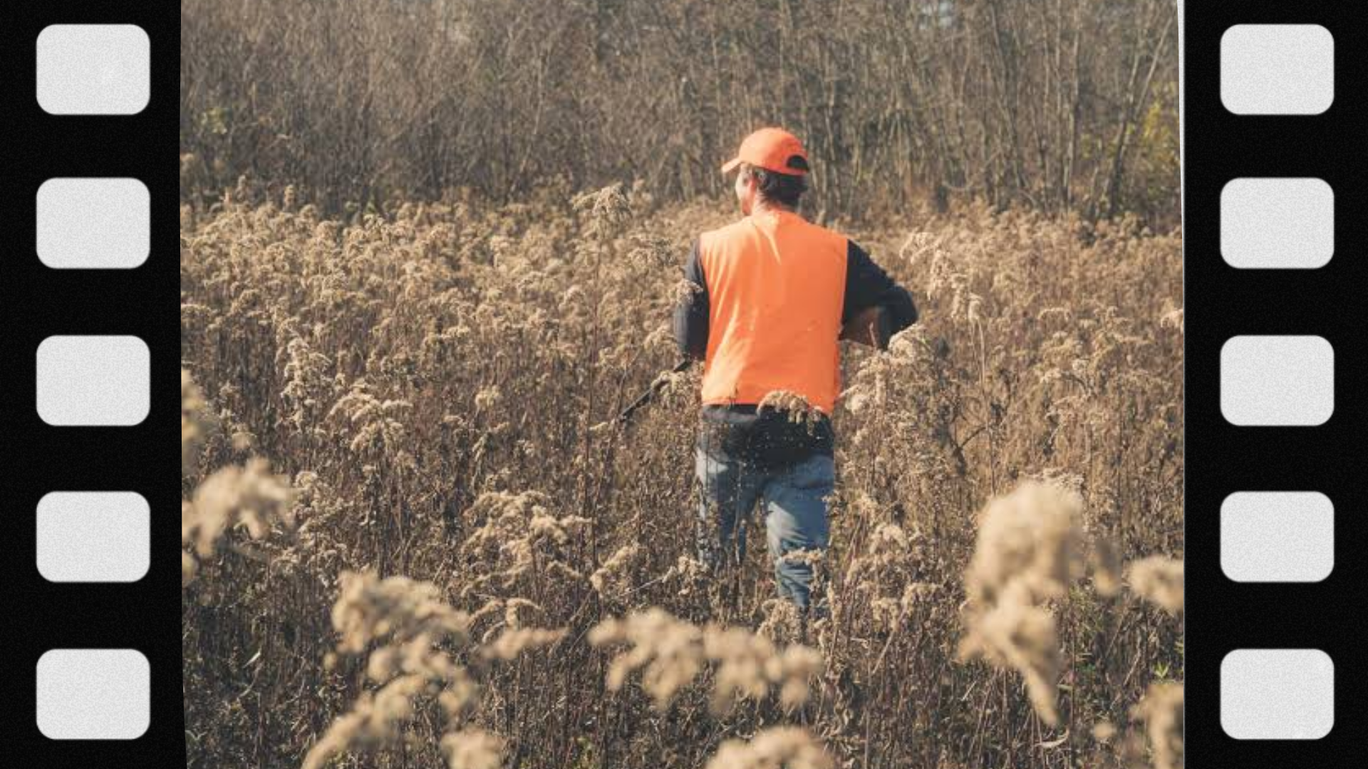 what-gear-do-you-need-for-quail-hunting