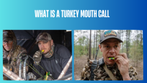 what-is-a-turkey-mouth-call