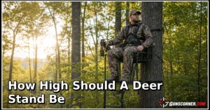 How High Should a Deer Stand Be? A Safe, Practical Guide