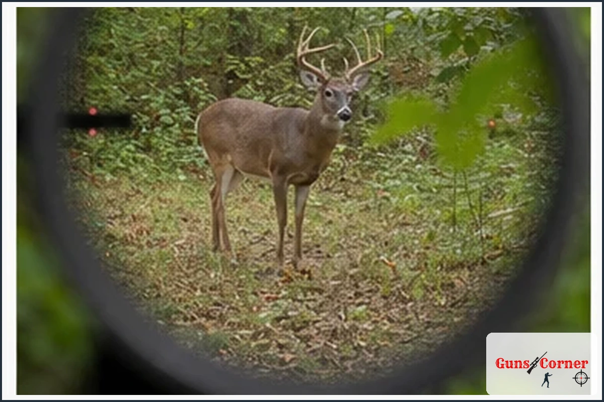 4. Keep the Animal Within Your Practiced Range