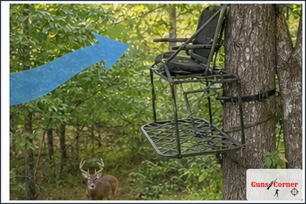 5. Consider Wind and Scent Movement