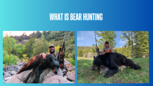 what-is-bear-hunting