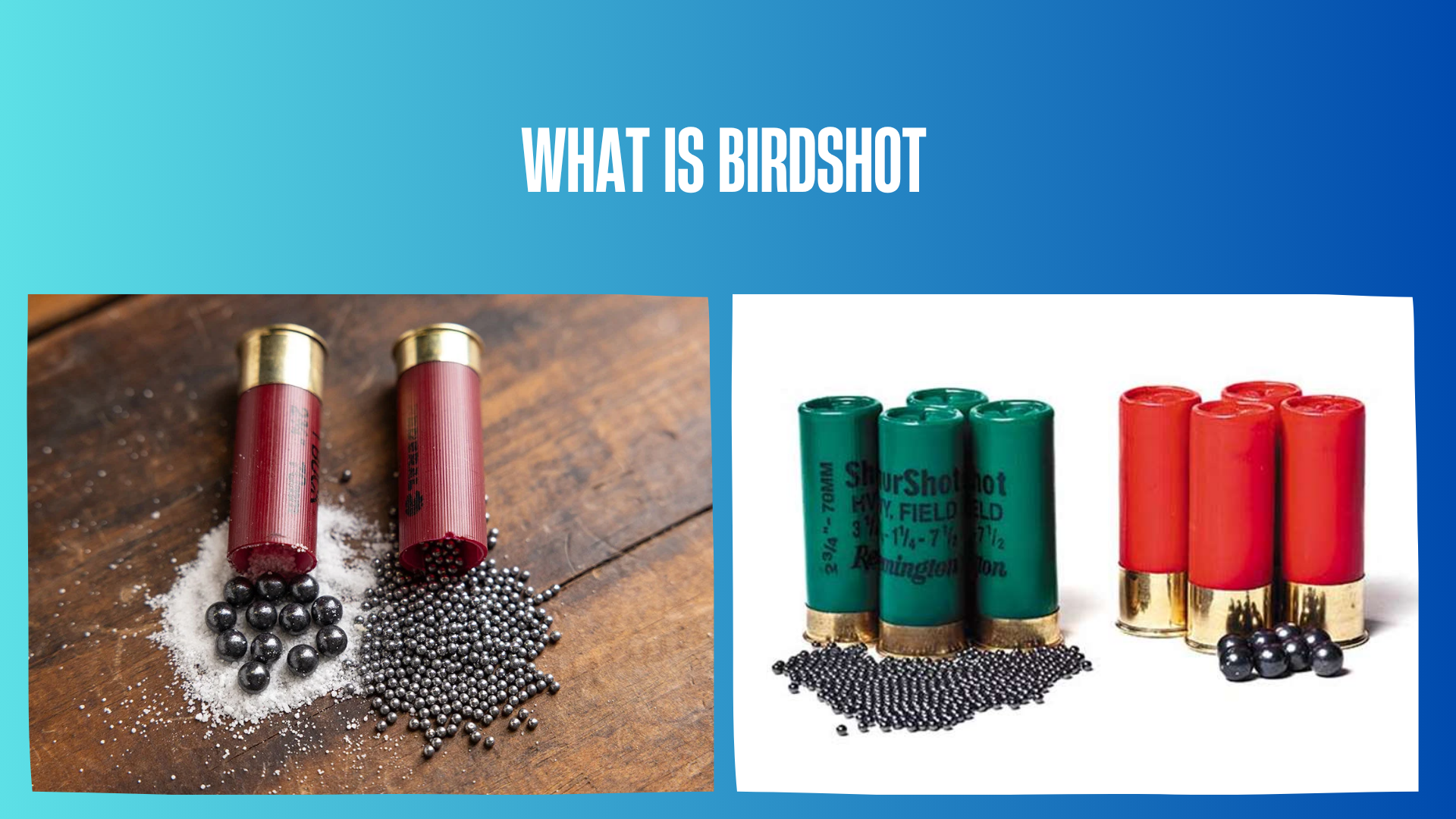 what-is-birdshot