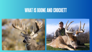 what-is-boone-and-crockett