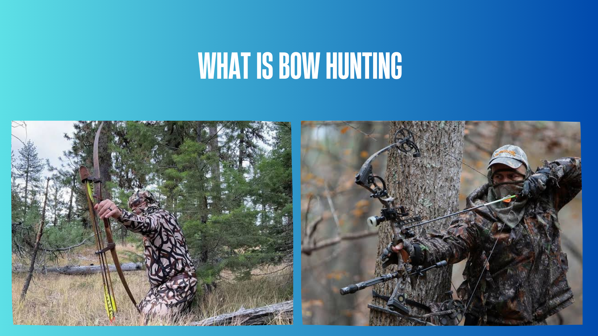 what-is-bow-hunting