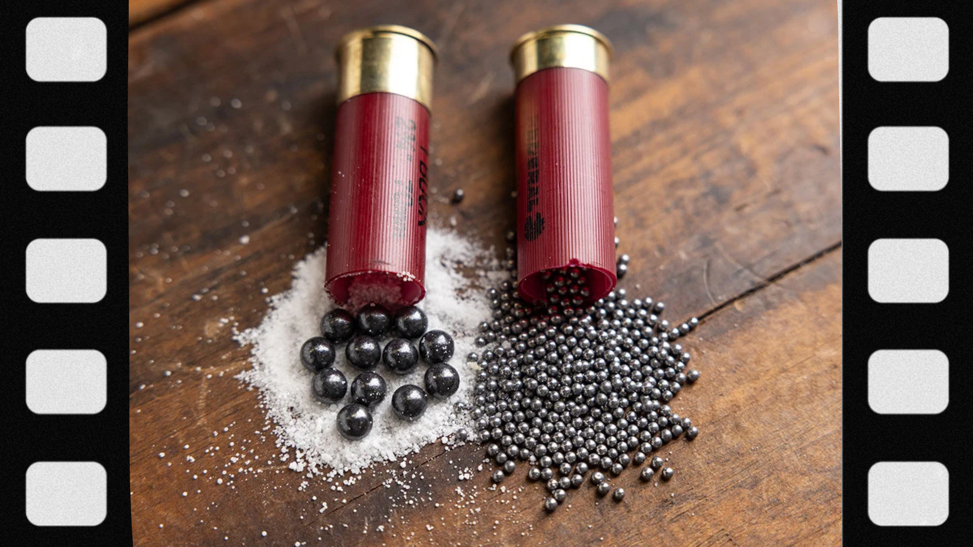 what-is-birdshot
