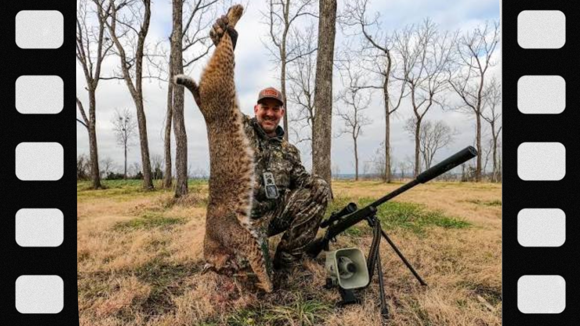 what-is-bobcat-hunting