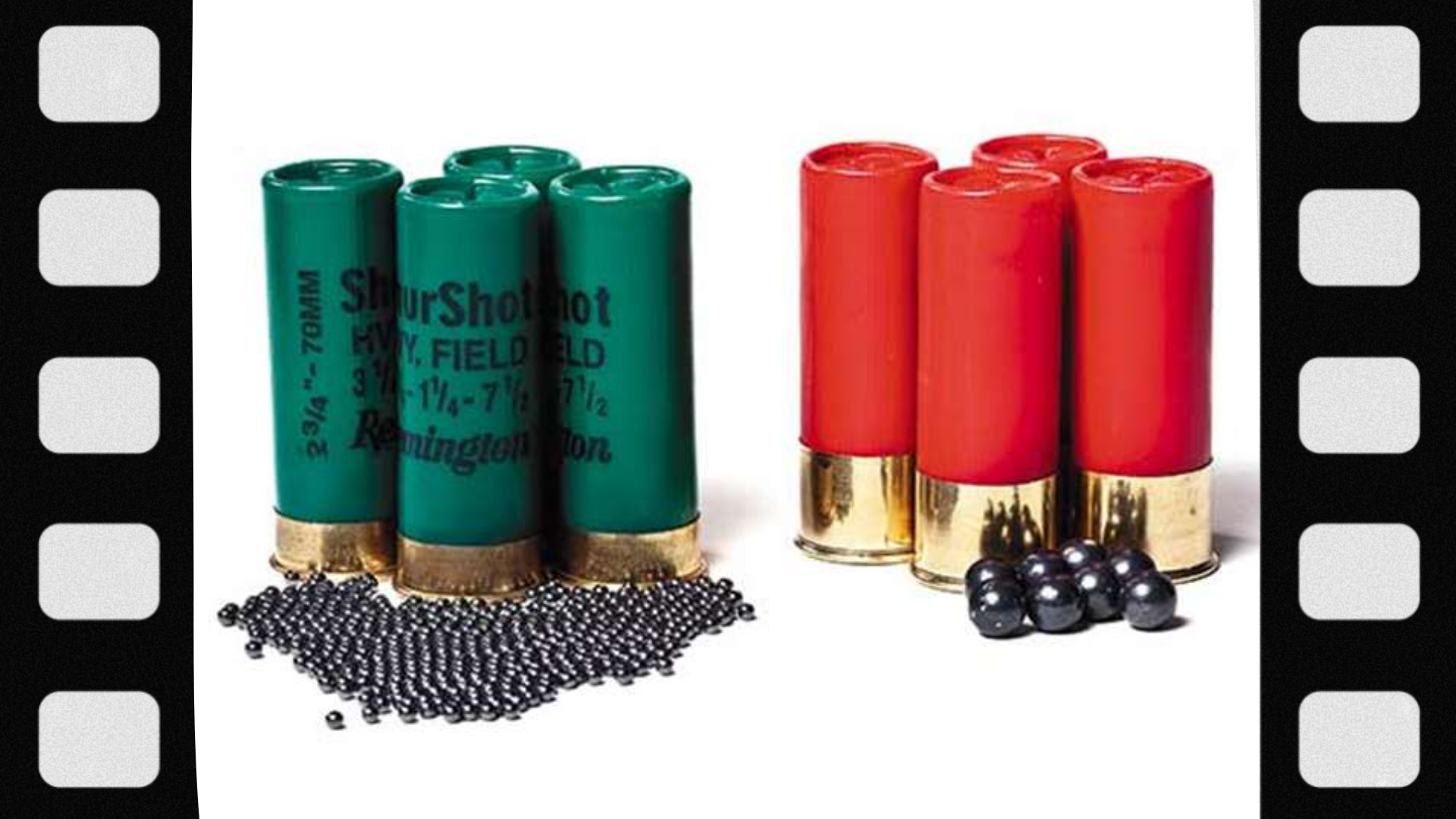 what-is-birdshot