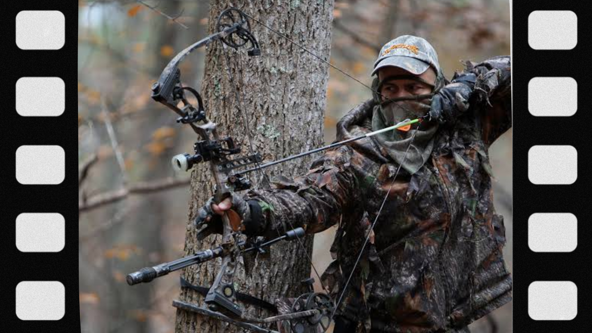 what-is-bow-hunting