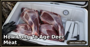 How Long to Age Deer Meat: A Safe, Practical Guide