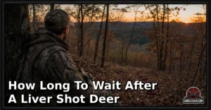 How Long to Wait After a Liver-Shot Deer