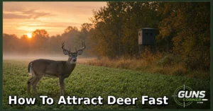 How to Attract Deer Fast: A Legal and Ethical Hunting Guide