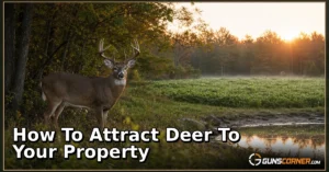 How to Attract Deer to Your Property: A Legal, Ethical Hunting Guide
