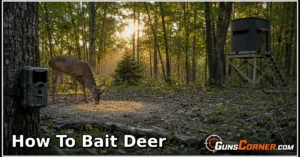 How to Bait Deer: A Legal, Safe, and Ethical Hunting Guide