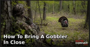 How to Bring a Gobbler in Close: A Beginner-Friendly Turkey Hunting Guide
