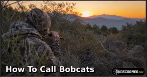 How to Call Bobcats: A Beginner-Friendly Hunting Guide
