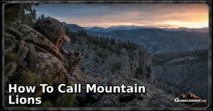 How to Call Mountain Lions: A Beginner-Friendly Hunting Guide