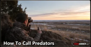How to Call Predators: A Beginner’s Guide to Ethical Predator Calling