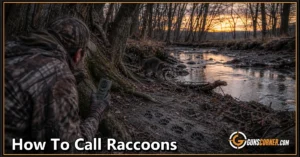 How to Call Raccoons: A Beginner-Friendly Hunting Guide
