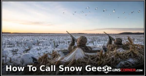 How to Call Snow Geese: A Practical Beginner’s Guide