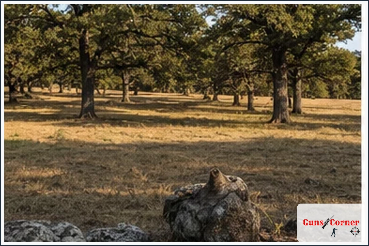 What Are Oak Flats in Hunting?