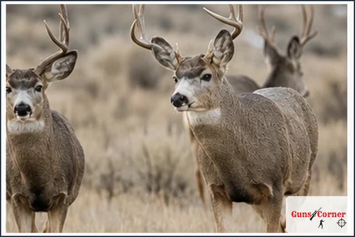 Which Animals Shed Antlers?