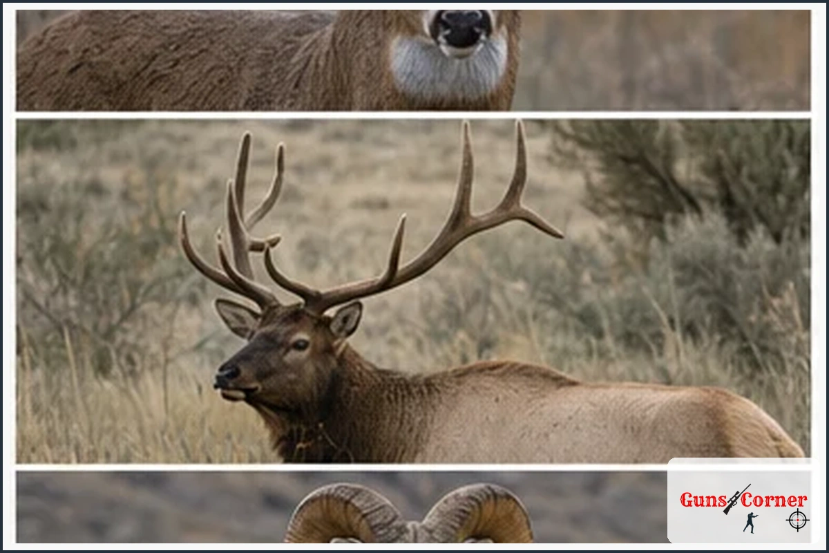 Are Preference Points Specific to a Species?
