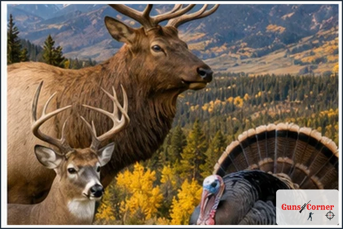 Types of Hunting Tag Opportunities