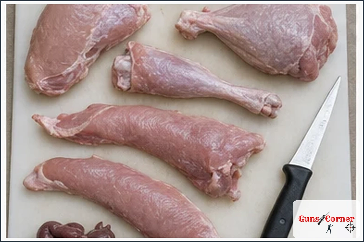 How to Butcher a Wild Turkey Step by Step