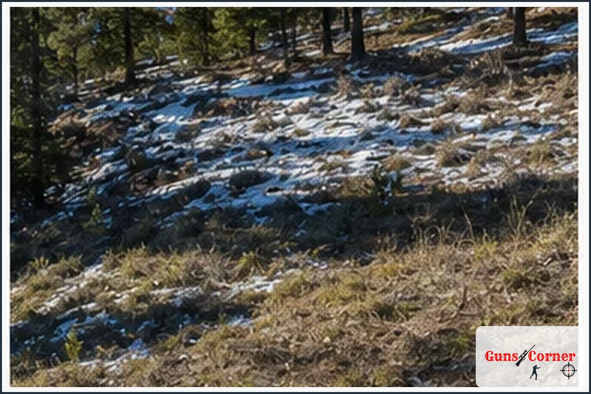 Where Are Shed Antlers Commonly Found?