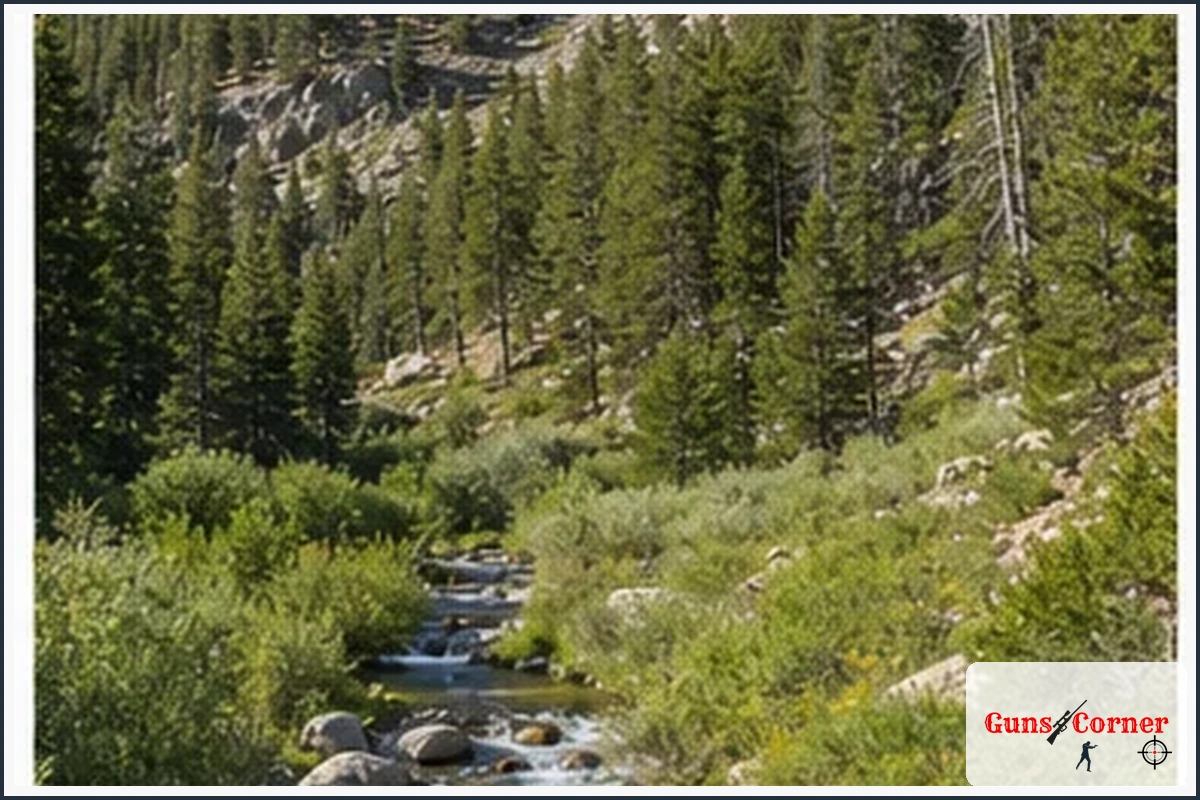 Step 2: Find Legal and Productive Habitat