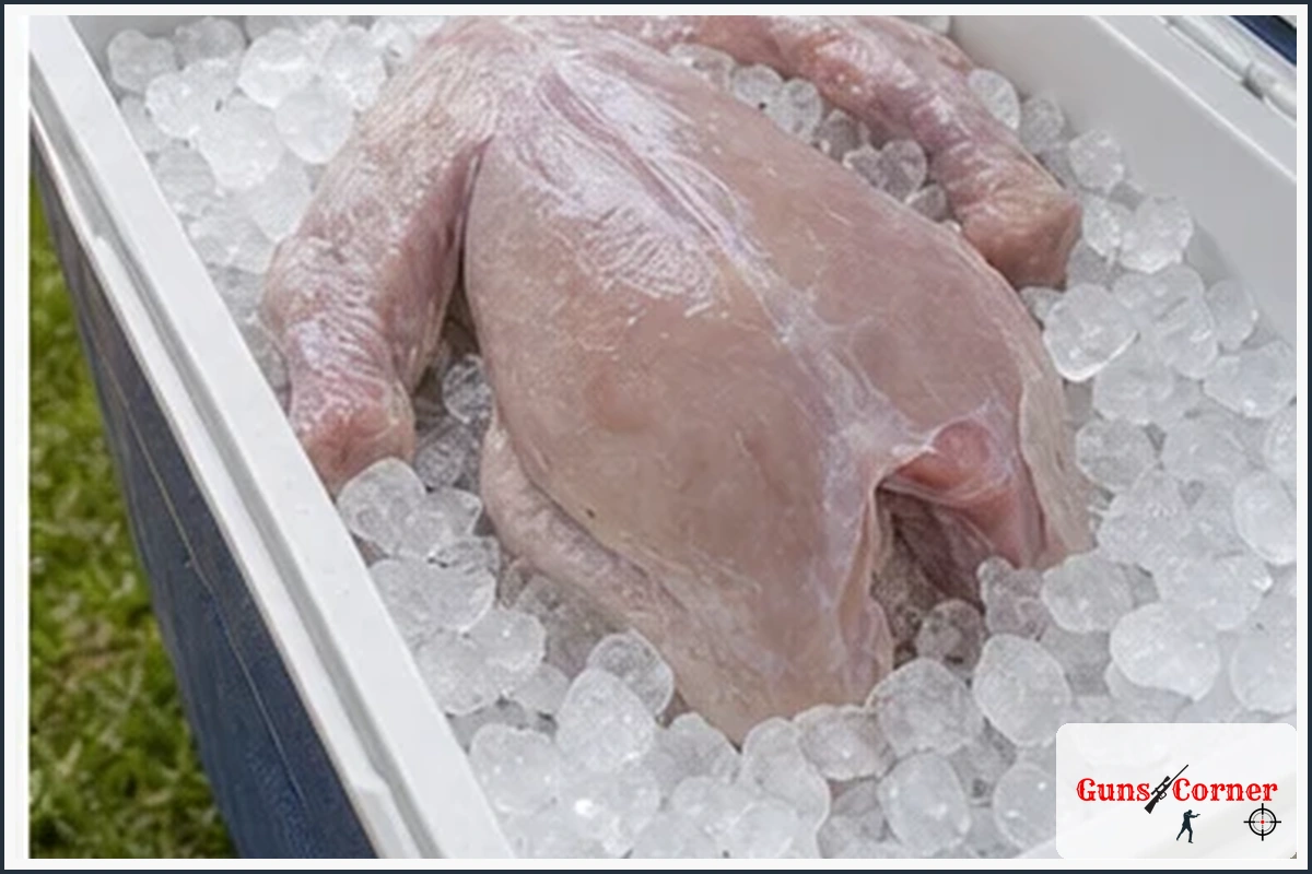Step 2: Cool the Bird Promptly