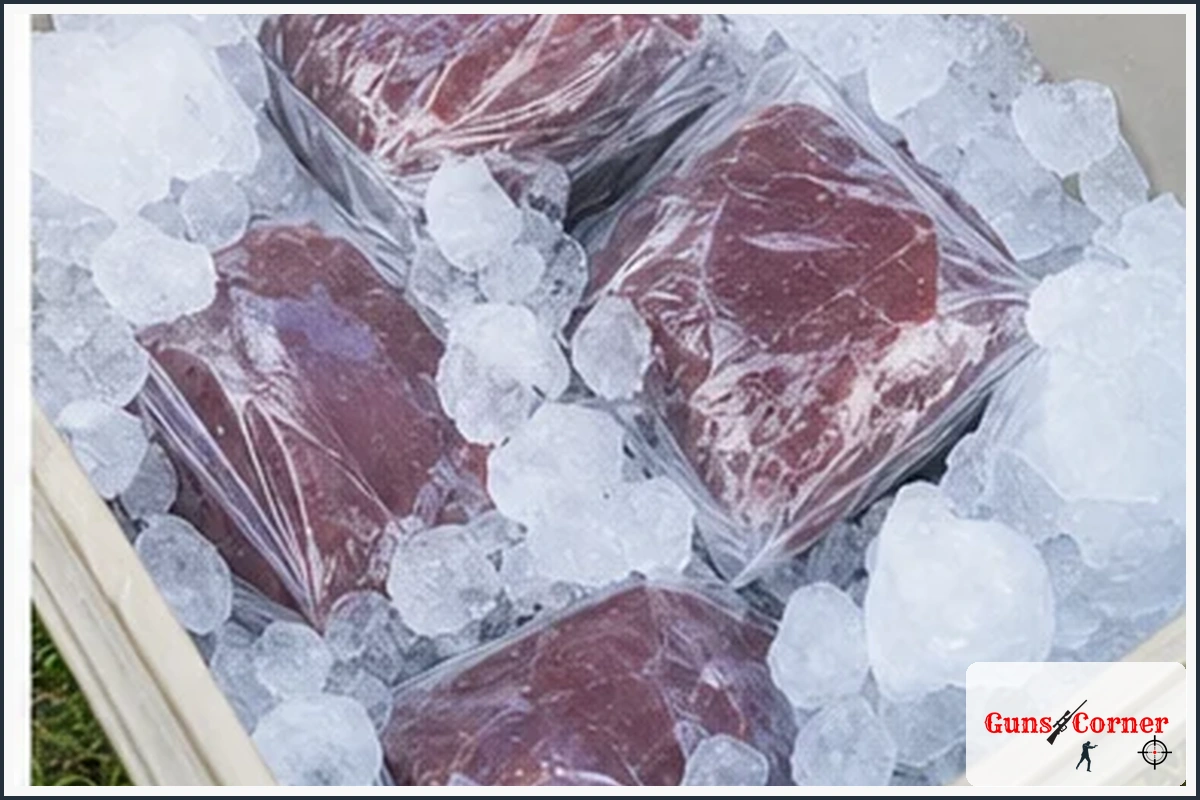 Step 3: Add Ice Around the Meat